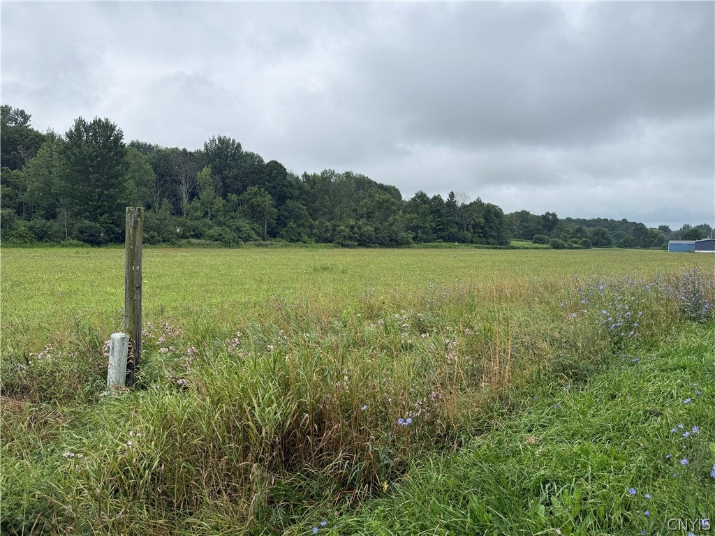 Photo of 00 County Route 91, Ellisburg, NY 13636 (MLS # S1702821)
