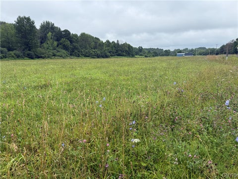 Tiny photo for 00 County Route 91, Ellisburg, NY 13636 (MLS # S1702821)