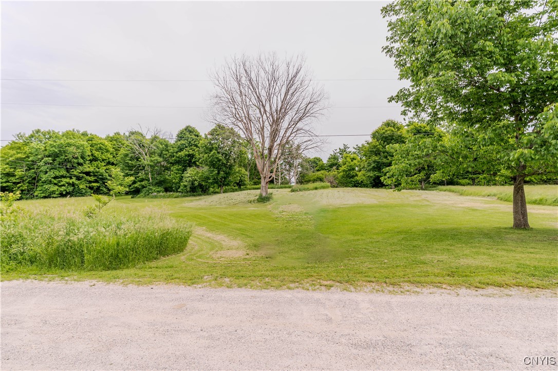 218 Campbell Road