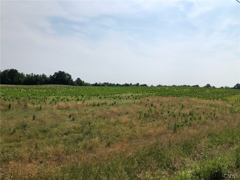 00 Dutch Ridge Rd - Lot #6