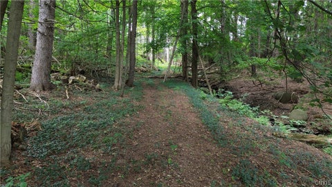 Tiny photo for 4515 State Route 281, Cortlandville, NY 13045 (MLS # S1706602)