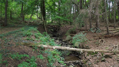 Tiny photo for 4515 State Route 281, Cortlandville, NY 13045 (MLS # S1706602)