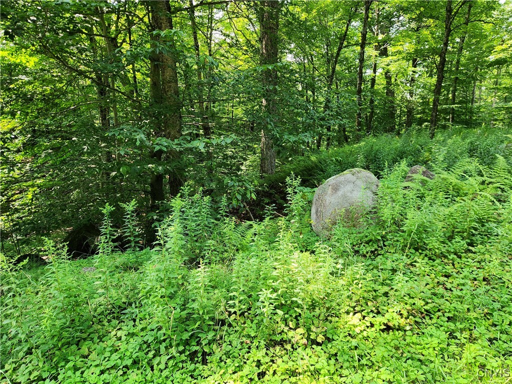 Mohawk Drive