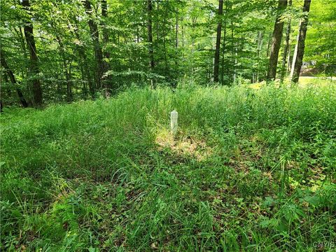 Photo of Mohawk Drive, Webb, NY 13420 (MLS # S1628822)
