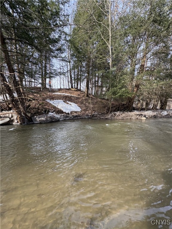 Lemay Road, Ellisburg, New York image 6