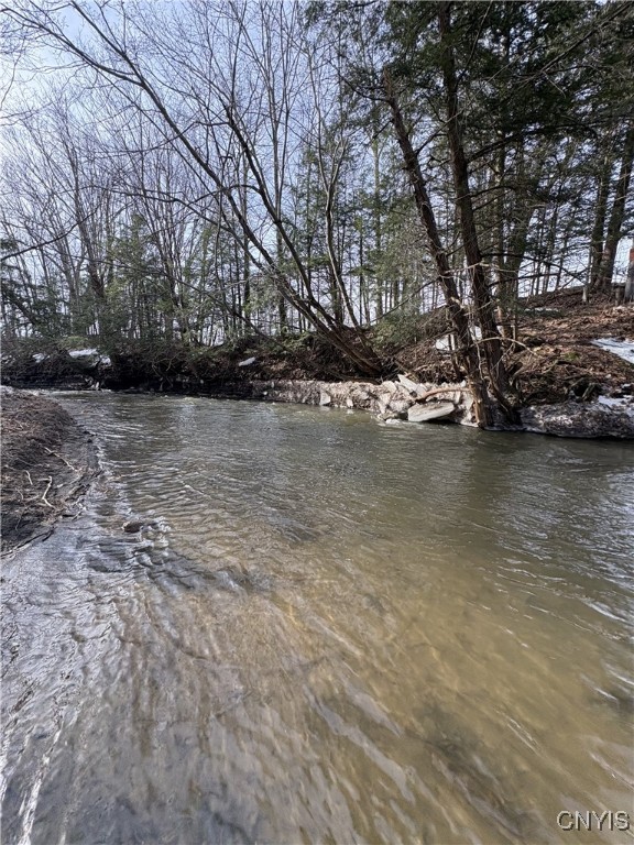 Lemay Road, Ellisburg, New York image 7