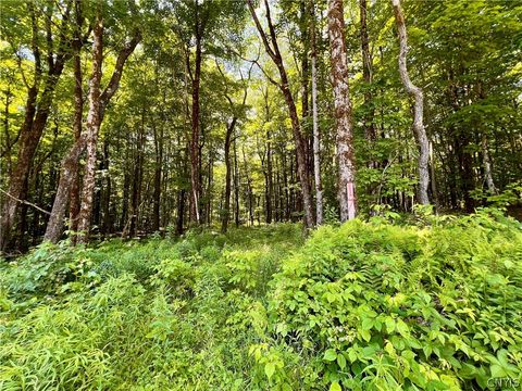Vacant Land For Sale - 17 Cassio Road<br/> Oswego County, Redfield, NY 13493