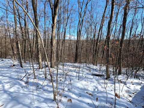 Tiny photo for 00 Beeman Hollow Road, Erwin, NY 14801 (MLS # S1655496)