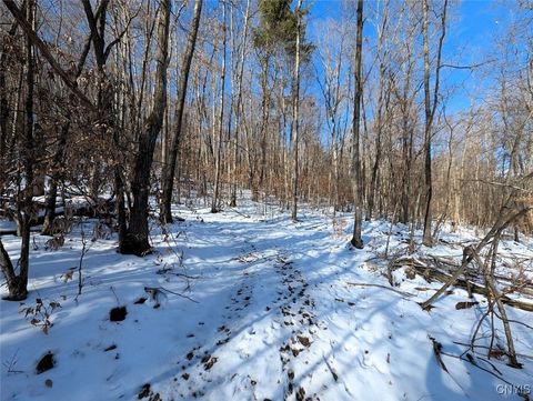 Tiny photo for 00 Beeman Hollow Road, Erwin, NY 14801 (MLS # S1655496)