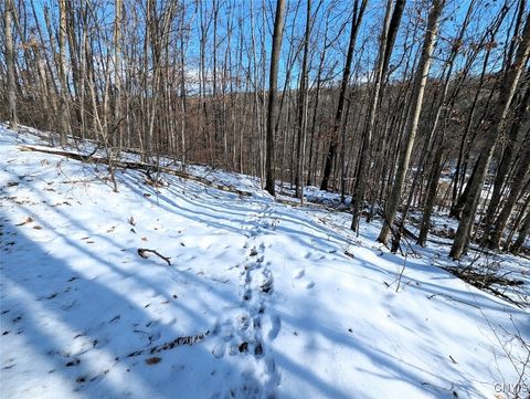 Tiny photo for 00 Beeman Hollow Road, Erwin, NY 14801 (MLS # S1655496)