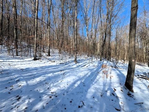 Tiny photo for 00 Beeman Hollow Road, Erwin, NY 14801 (MLS # S1655496)