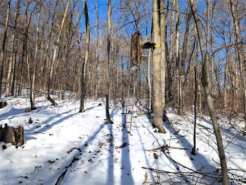 Tiny photo for 00 Beeman Hollow Road, Erwin, NY 14801 (MLS # S1655496)