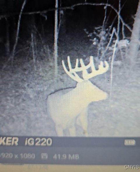 Tiny photo for 00 Beeman Hollow Road, Erwin, NY 14801 (MLS # S1655496)