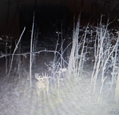 Tiny photo for 00 Beeman Hollow Road, Erwin, NY 14801 (MLS # S1655496)