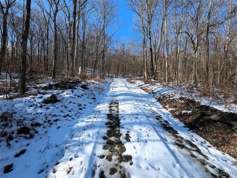 Tiny photo for 00 Beeman Hollow Road, Erwin, NY 14801 (MLS # S1655496)