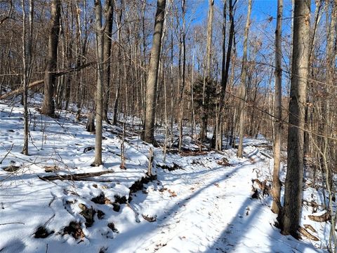 Tiny photo for 00 Beeman Hollow Road, Erwin, NY 14801 (MLS # S1655496)