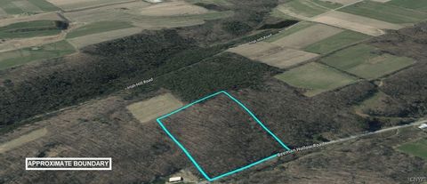 Tiny photo for 00 Beeman Hollow Road, Erwin, NY 14801 (MLS # S1655496)