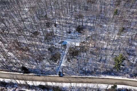 Tiny photo for 00 Beeman Hollow Road, Erwin, NY 14801 (MLS # S1655496)
