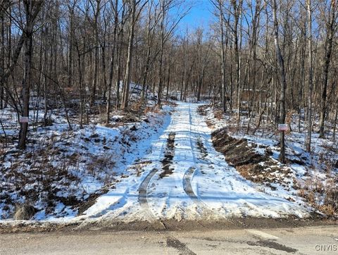 Tiny photo for 00 Beeman Hollow Road, Erwin, NY 14801 (MLS # S1655496)