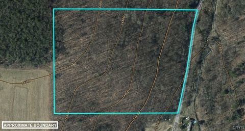 Tiny photo for 00 Beeman Hollow Road, Erwin, NY 14801 (MLS # S1655496)