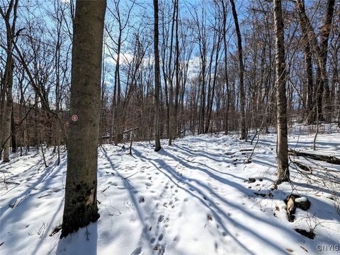 Tiny photo for 00 Beeman Hollow Road, Erwin, NY 14801 (MLS # S1655496)