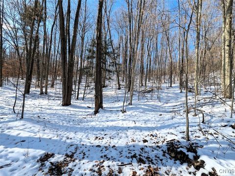 Tiny photo for 00 Beeman Hollow Road, Erwin, NY 14801 (MLS # S1655496)