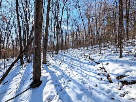 Tiny photo for 00 Beeman Hollow Road, Erwin, NY 14801 (MLS # S1655496)