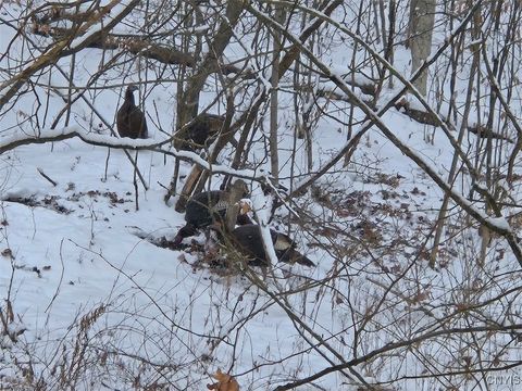 Tiny photo for 00 Beeman Hollow Road, Erwin, NY 14801 (MLS # S1655496)