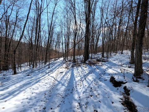 Tiny photo for 00 Beeman Hollow Road, Erwin, NY 14801 (MLS # S1655496)