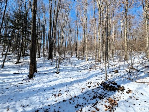 Tiny photo for 00 Beeman Hollow Road, Erwin, NY 14801 (MLS # S1655496)