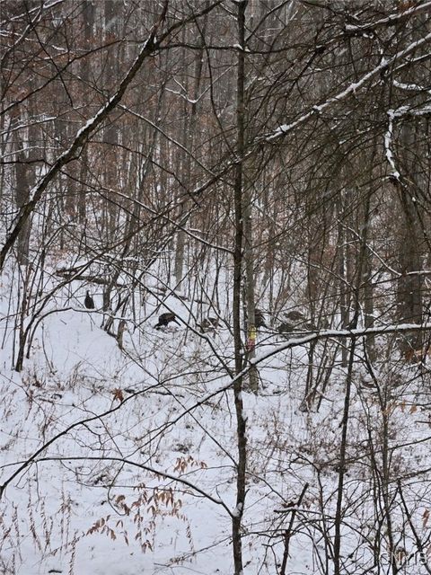 Tiny photo for 00 Beeman Hollow Road, Erwin, NY 14801 (MLS # S1655496)