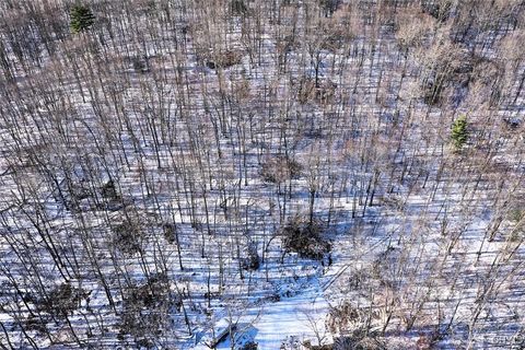 Tiny photo for 00 Beeman Hollow Road, Erwin, NY 14801 (MLS # S1655496)