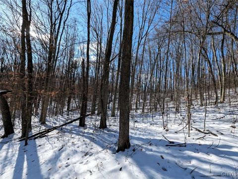 Tiny photo for 00 Beeman Hollow Road, Erwin, NY 14801 (MLS # S1655496)