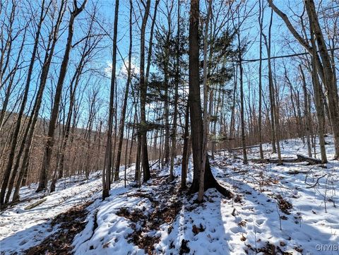 Tiny photo for 00 Beeman Hollow Road, Erwin, NY 14801 (MLS # S1655496)