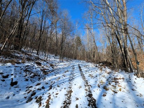 Tiny photo for 00 Beeman Hollow Road, Erwin, NY 14801 (MLS # S1655496)