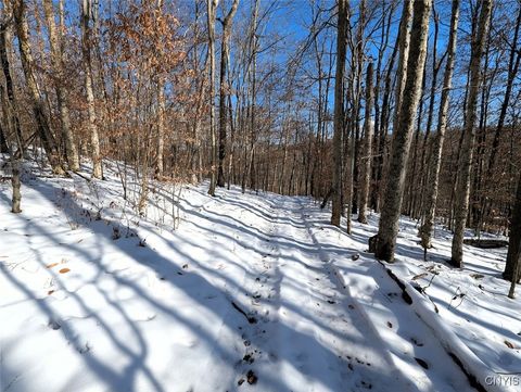 Tiny photo for 00 Beeman Hollow Road, Erwin, NY 14801 (MLS # S1655496)