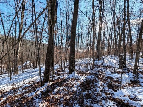 Tiny photo for 00 Beeman Hollow Road, Erwin, NY 14801 (MLS # S1655496)