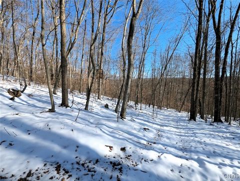 Tiny photo for 00 Beeman Hollow Road, Erwin, NY 14801 (MLS # S1655496)