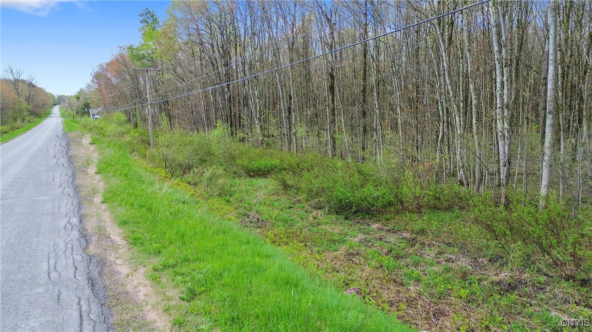 510 Kipp Road, Parish, New York image 10
