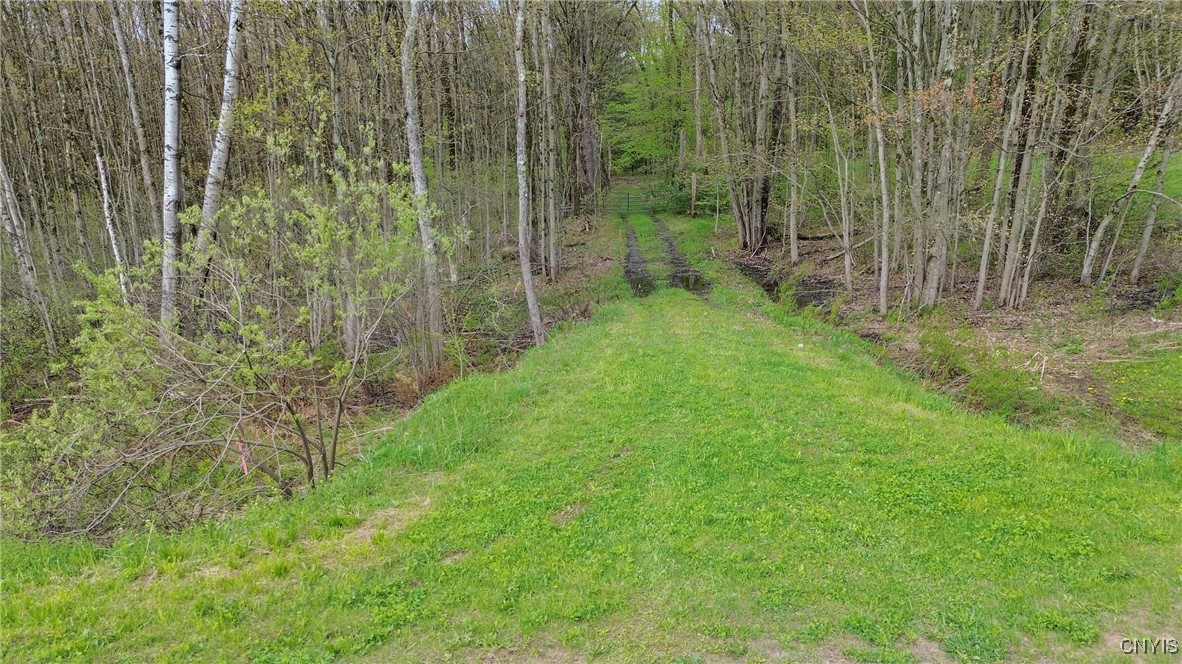 510 Kipp Road, Parish, New York image 12