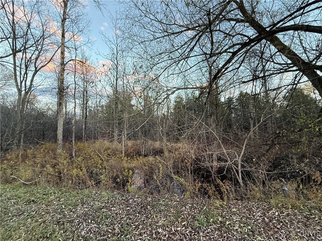 Photo of 0 County Route 38, Norfolk, NY 13667 (MLS # S1652788)