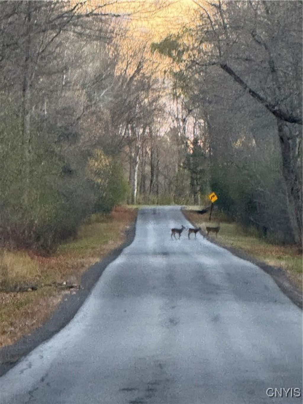 Photo of 0 County Route 38, Norfolk, NY 13667 (MLS # S1652788)