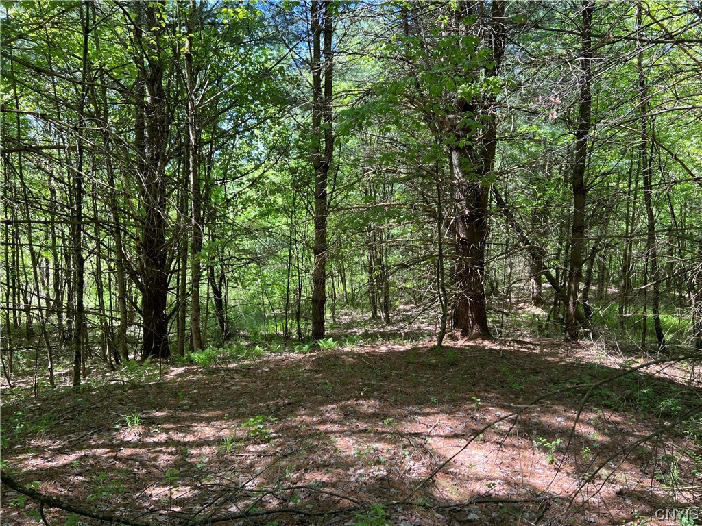 Photo 6 of 19 of 5219 Rome Taberg Road land