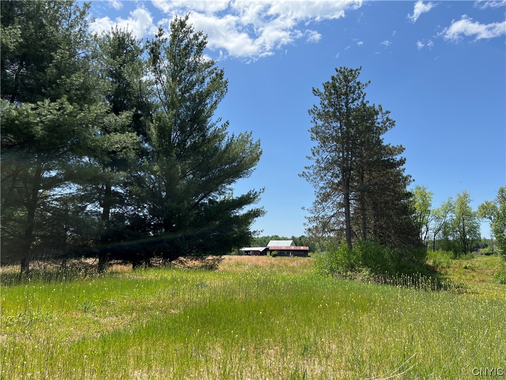Photo 8 of 19 of 5219 Rome Taberg Road land