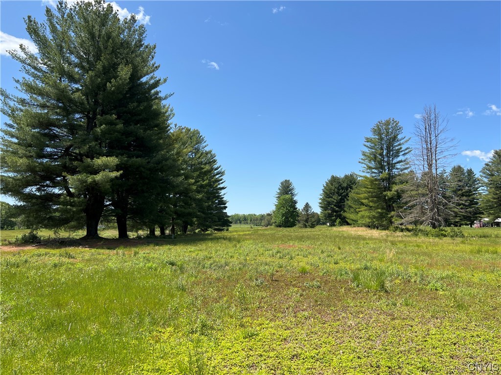 Photo 2 of 19 of 5219 Rome Taberg Road land