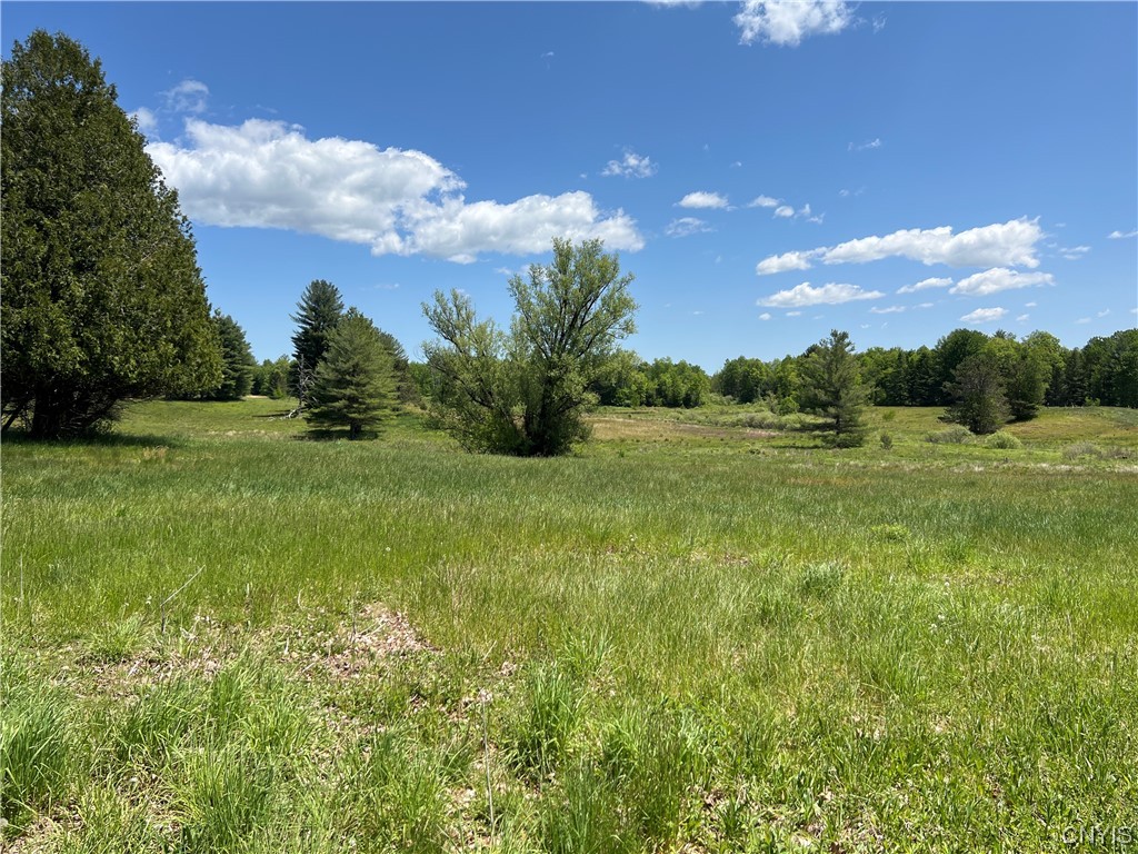 Photo 13 of 19 of 5219 Rome Taberg Road land
