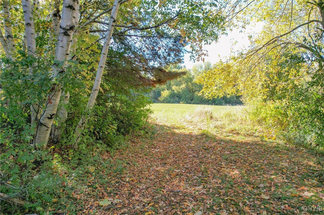 Ellisburg, New York 13605, United States, ,Commercial,Active,226788