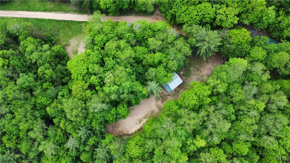 7559 Otter Creek Truck Trail, Greig, New York image 20