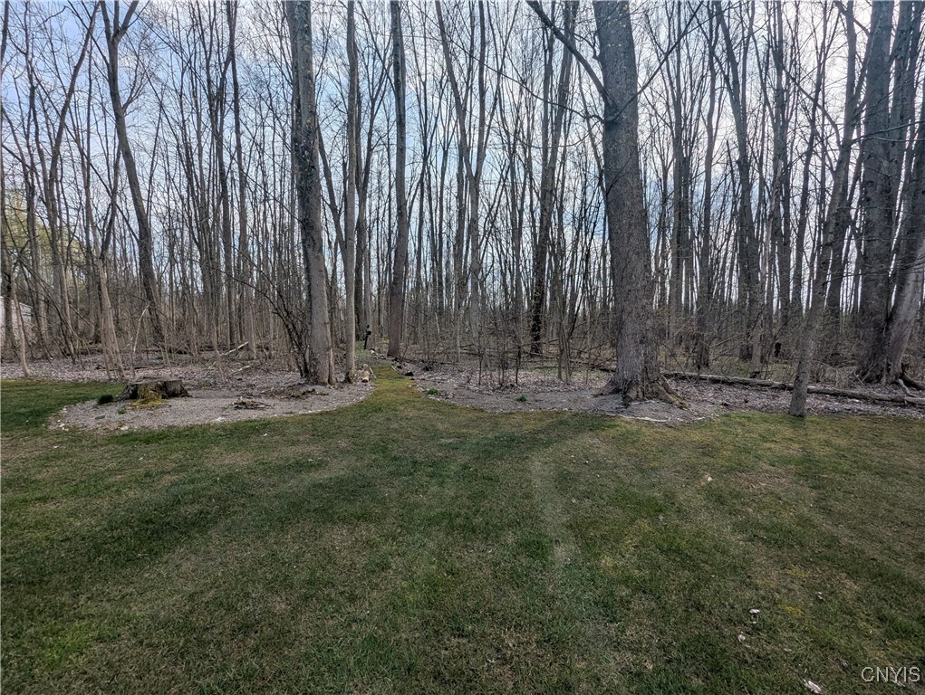 6443 Electric Railway, Cicero, New York image 4