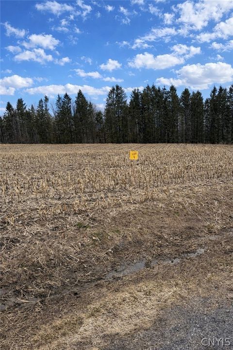 00 Skinner Lot 5 Road Richfield Springs NY 13439